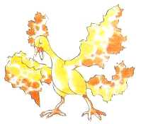 Moltres.jpg (5042 bytes)